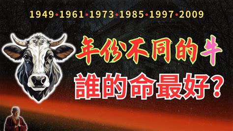 屬牛財運|2024生肖運勢牛｜屬牛運程、財運、事業、感情、健康！如何增運